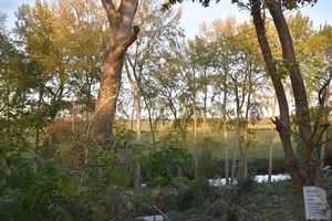 Photo 9- click for photo gallery